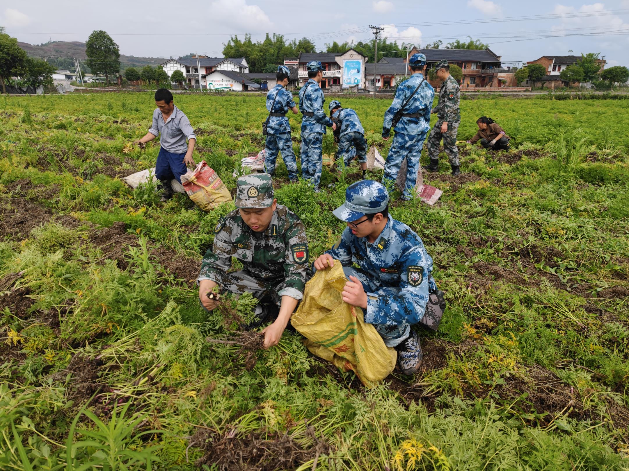 学员风采